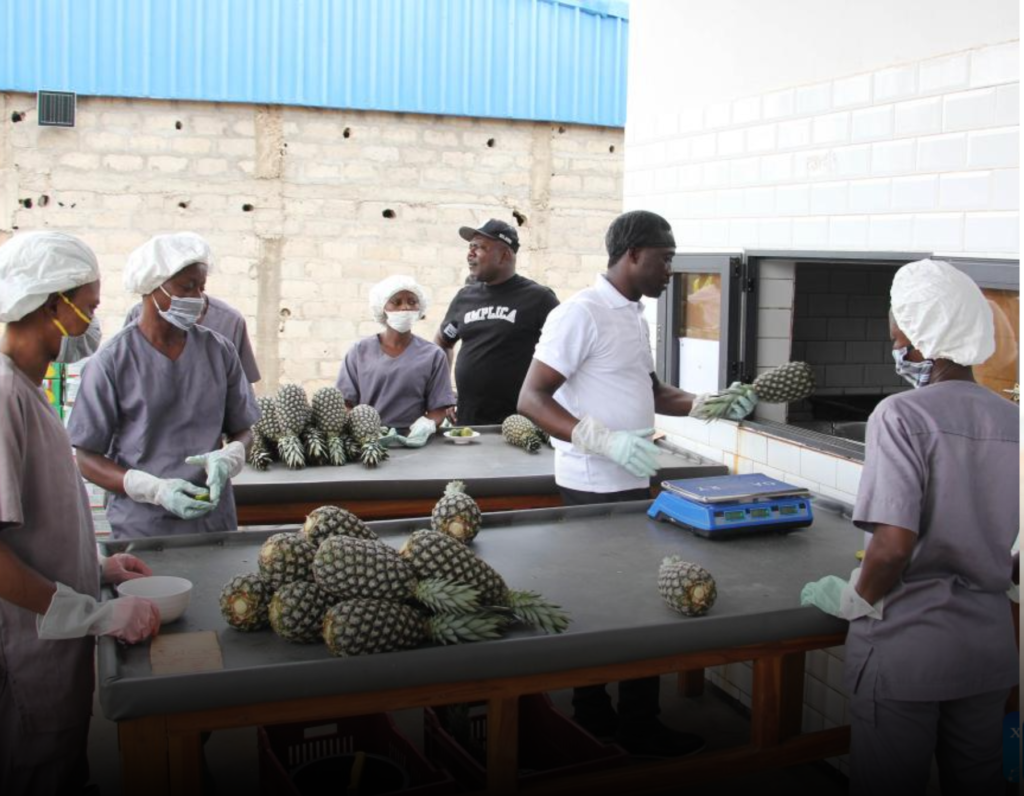 Benin Sets Sights on Expanding Exports to China as Trade Ties Deepen