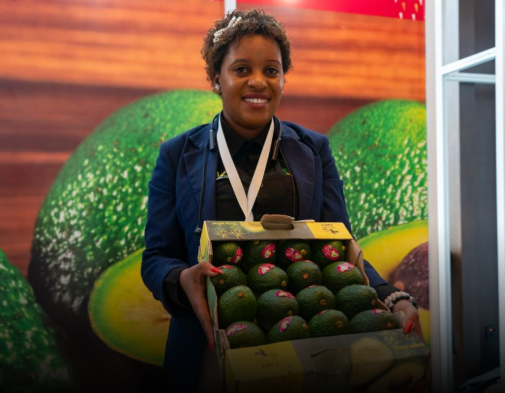 Kenya Hosts Strategic Business Forum to Deepen Trade and Investment Ties with China