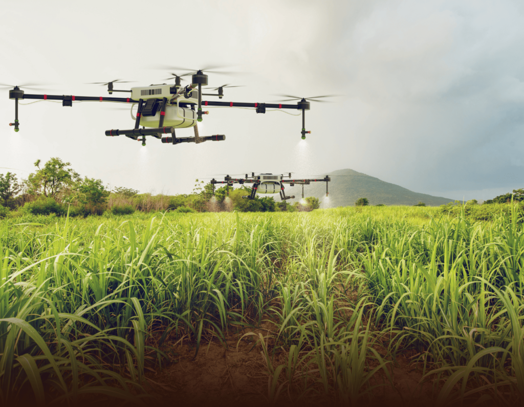 Chinese Agricultural Innovations Propel Africa Towards Food Security