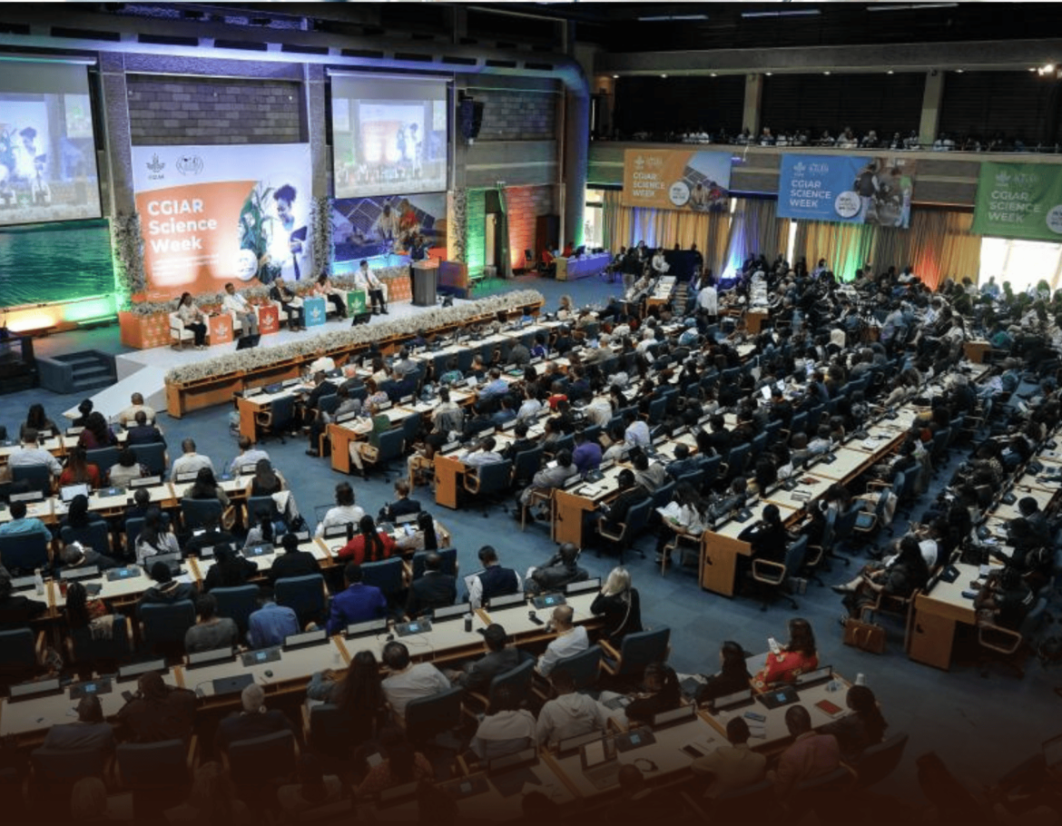 Sino-African Tech Partnerships to be leveraged to Enhance Africa's Food Systems