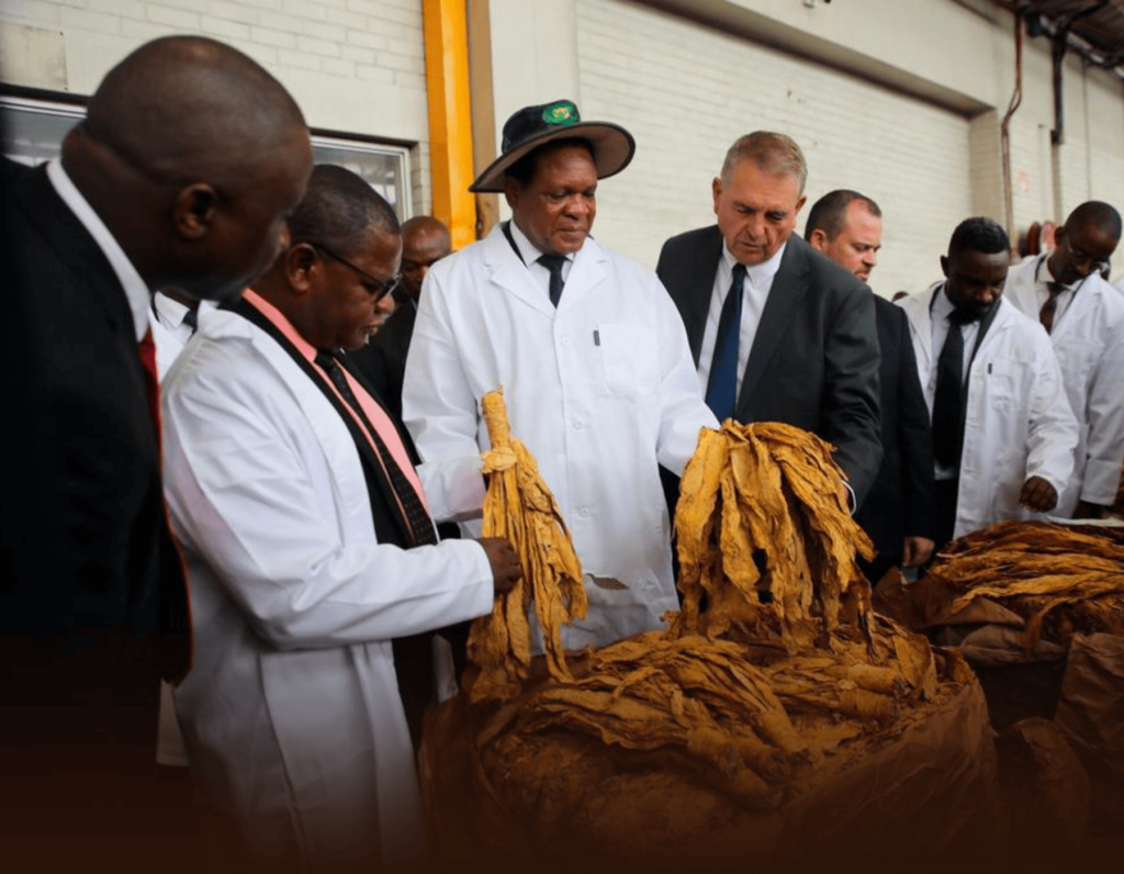 Zimbabwe-China to Host Inaugural Tobacco Expo in Harare This Year