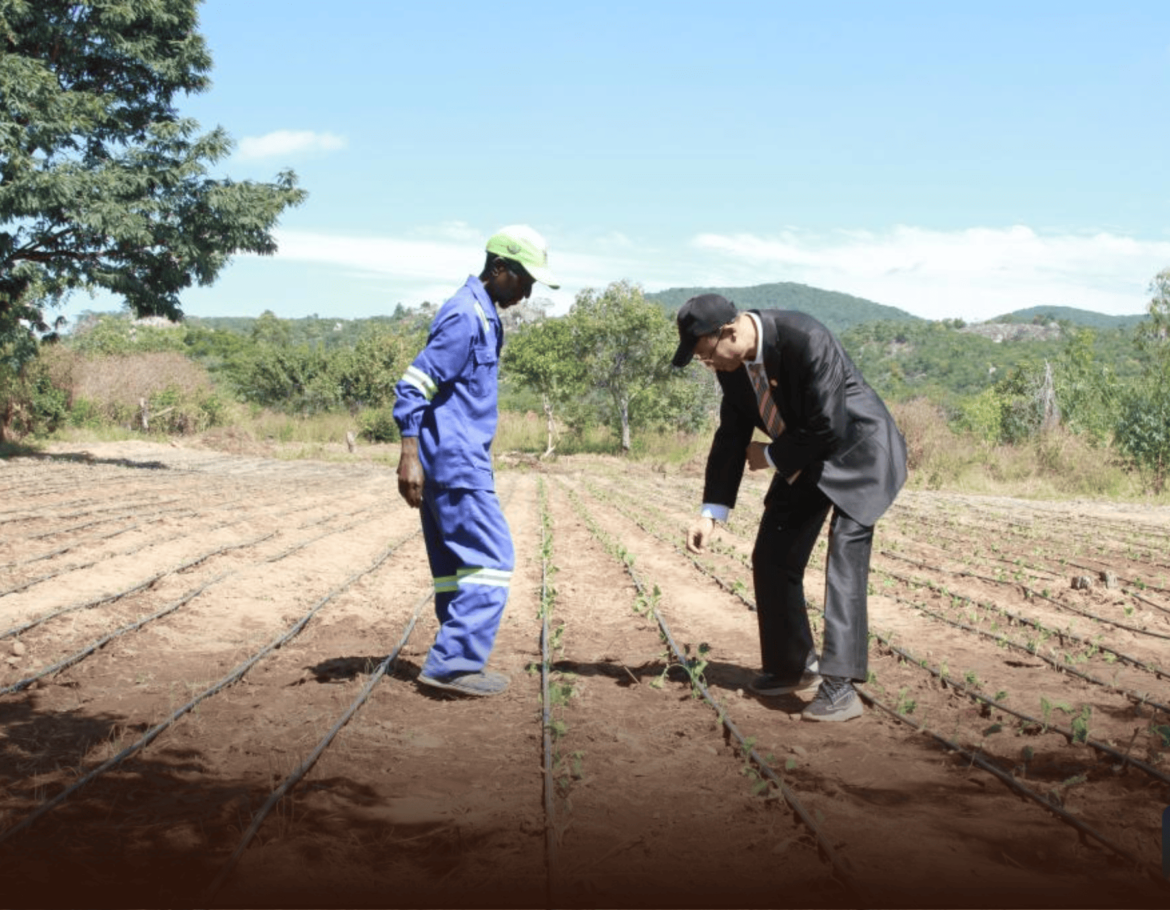 China and Zimbabwe Launch Agricultural Demonstration Village to Empower Rural Farmers