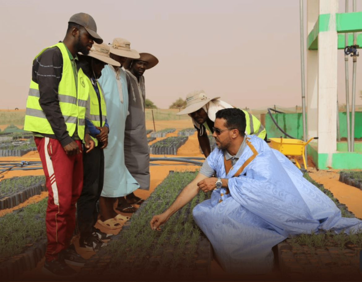 China-Africa Green Technology Park Turns Mauritanian Desert into Model of Sustainable Agriculture