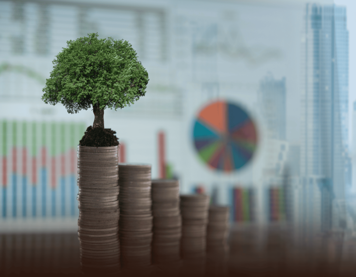 China-Africa Climate Cooperation Expands, with more investment Needed to Meet 2030 Goals, Expect Says