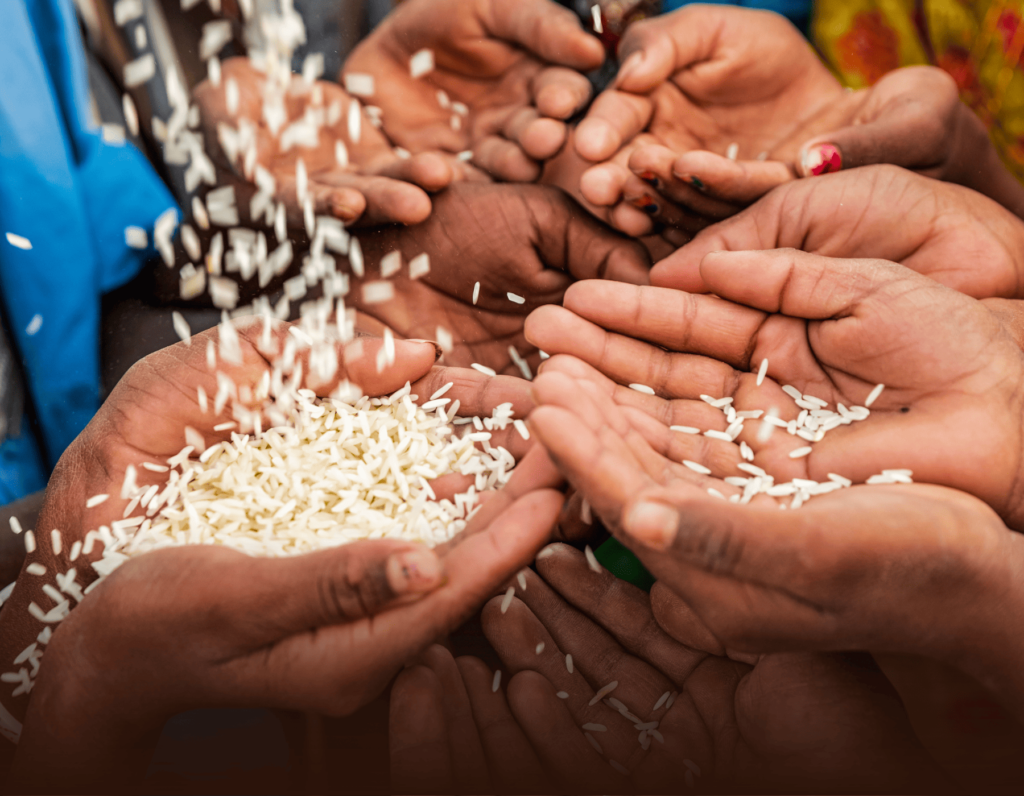 Malawi Thanks China for Timely Food Aid Amid Ongoing Food Crisis