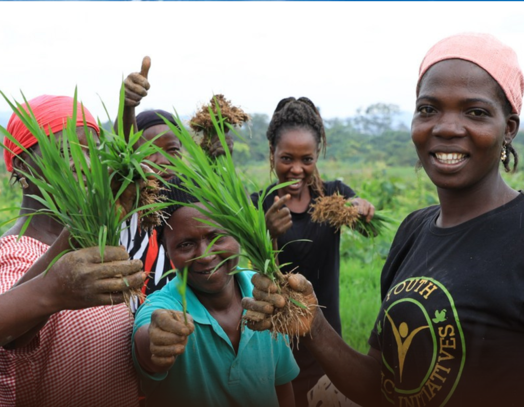 China-Africa Agrochemical Summit in Kenya Opens to Strengthen Food Security