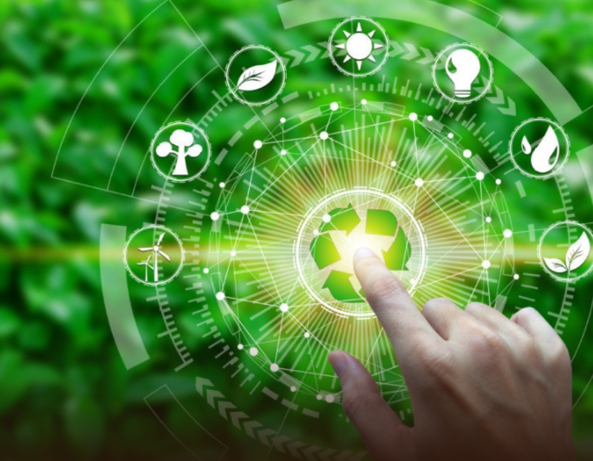 Sino-African partnership can enhance global green development