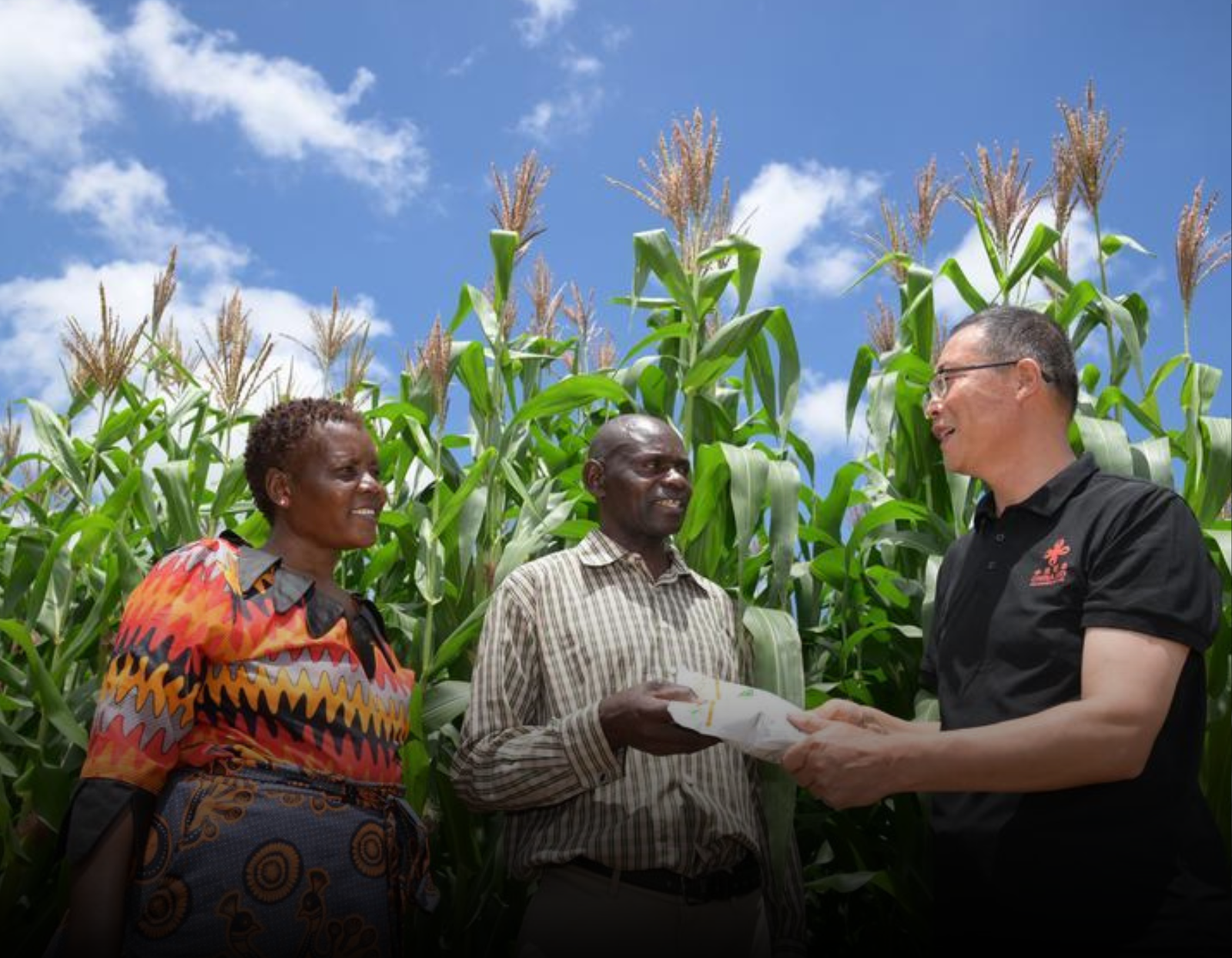 From Drought to New Harvests: China–Zimbabwe Agricultural Partnership Transforms Rural Livelihoods