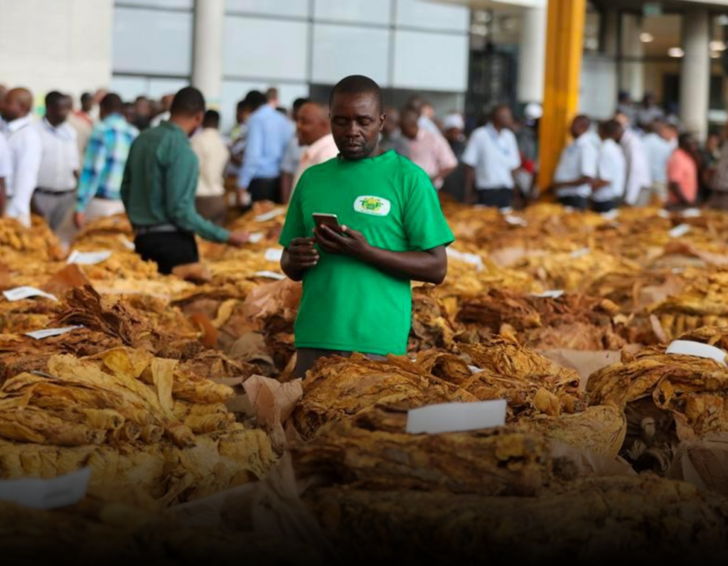 China’s Zero-Tariff Policy Opens New Export Pathways for Zimbabwe and Africa