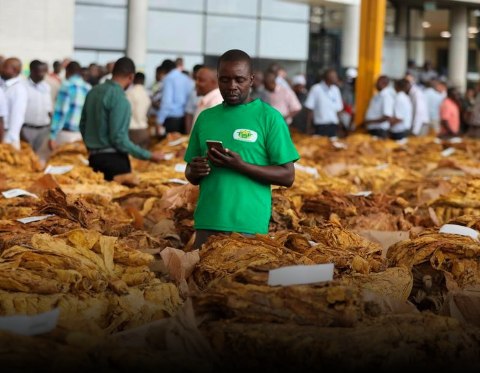 China’s Zero-Tariff Policy Opens New Export Pathways for Zimbabwe and Africa