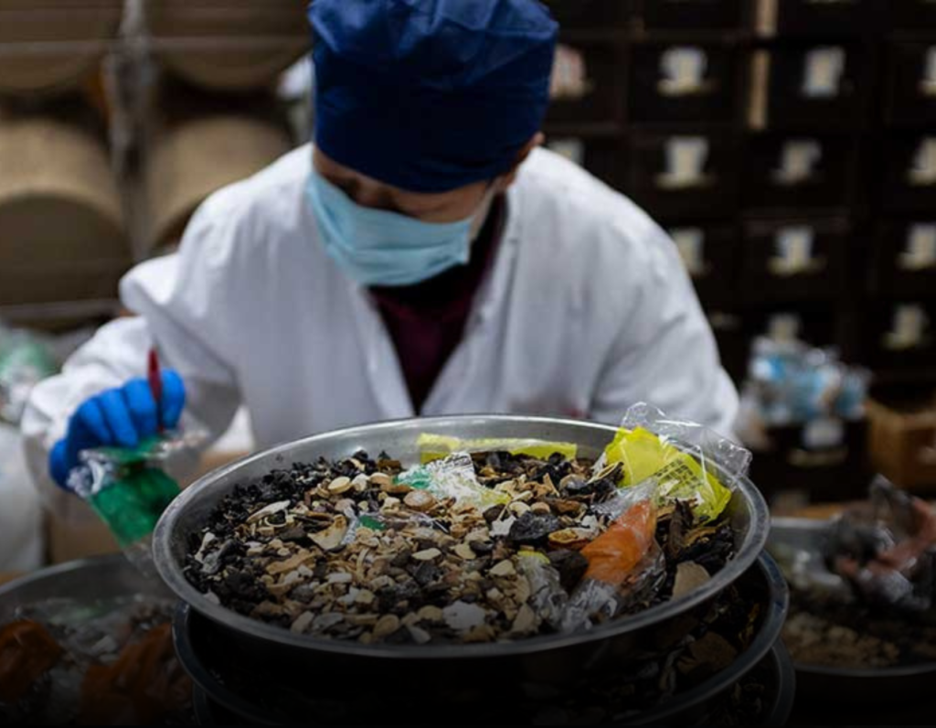 Africa Advances Traditional Medicine Education as China-Backed Standards Gain Ground