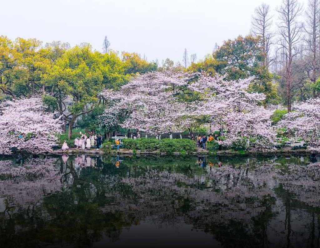 Chinese Cities Earn UN Recognition as Global Models for Zero-Waste Innovation