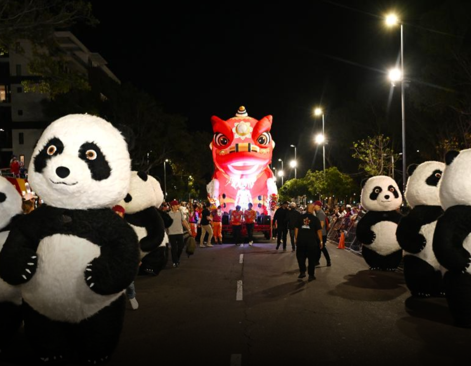 Chinese Culture Takes Center Stage at Cape Town Carnival 2026