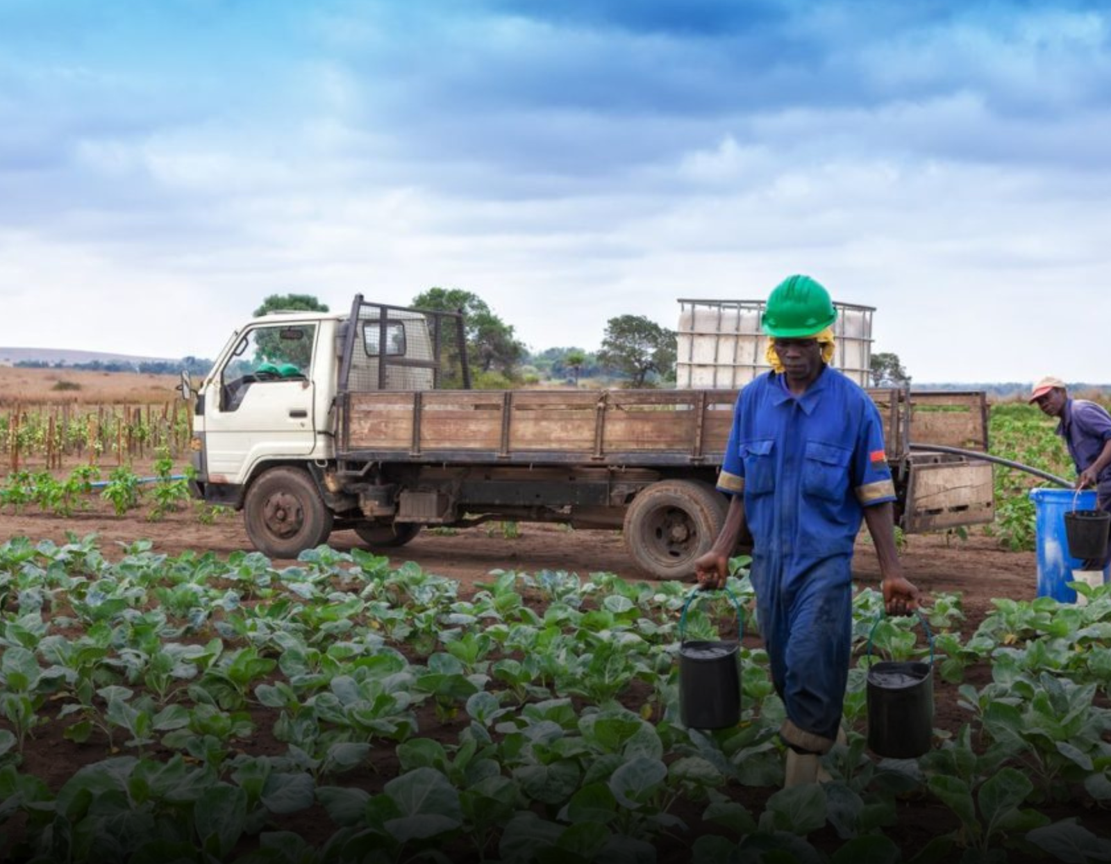The Agriculture Corridor: How China Is Investing in African Food Production