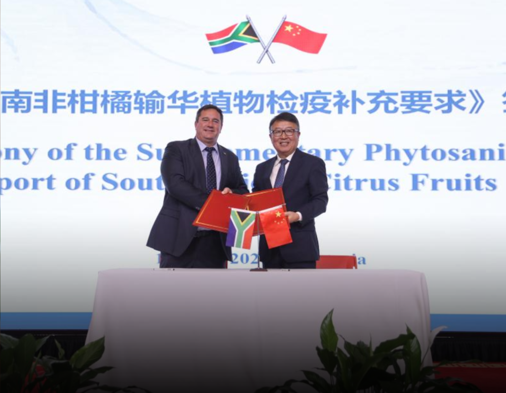 South Africa Gains Momentum as China Eases Citrus Import Rules