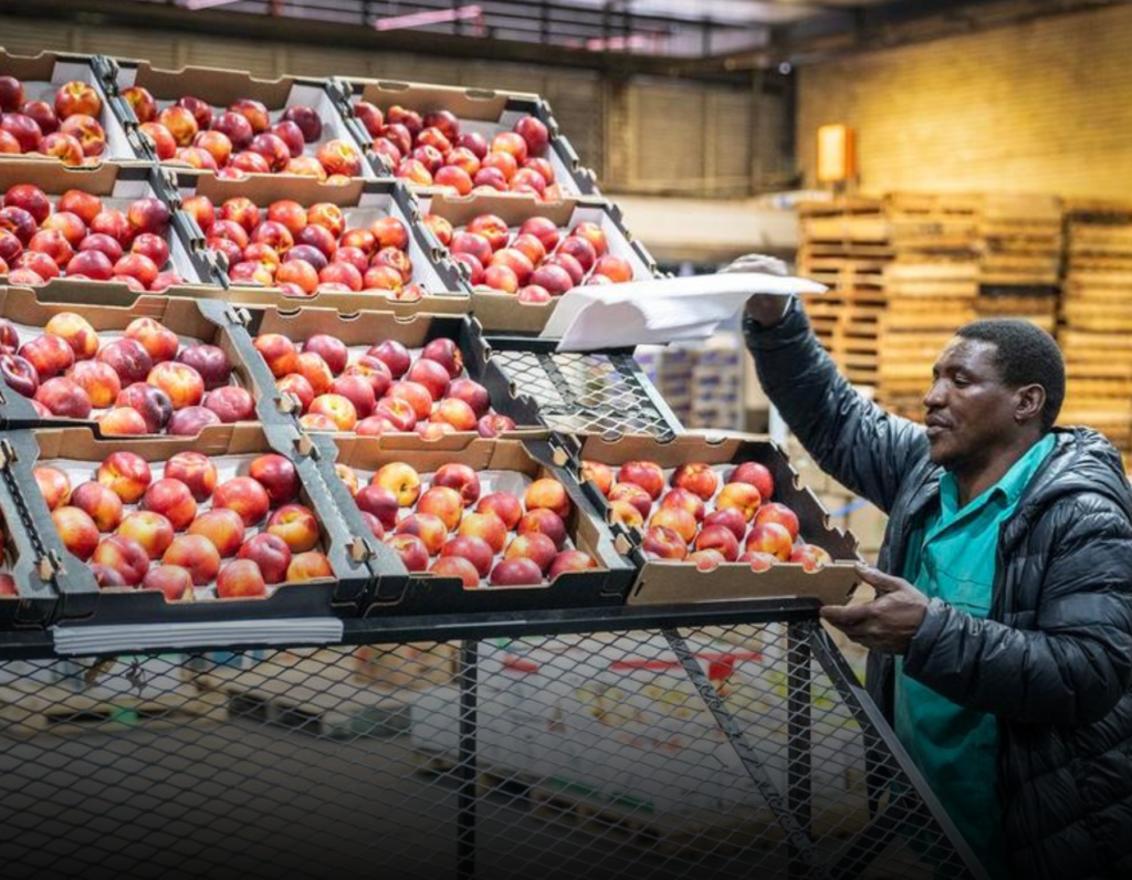 𝑰𝑴𝑨𝑮𝑬: 𝐴 𝑤𝑜𝑟𝑘𝑒𝑟 𝑝𝑎𝑐𝑘𝑎𝑔𝑒𝑠 𝑛𝑒𝑐𝑡𝑎𝑟𝑖𝑛𝑒𝑠 𝑎𝑡 𝑡ℎ𝑒 𝐽𝑜ℎ𝑎𝑛𝑛𝑒𝑠𝑏𝑢𝑟𝑔 𝐹𝑟𝑒𝑠ℎ 𝑃𝑟𝑜𝑑𝑢𝑐𝑒 𝑀𝑎𝑟𝑘𝑒𝑡 𝑖𝑛 𝑆𝑜𝑢𝑡ℎ 𝐴𝑓𝑟𝑖𝑐𝑎.