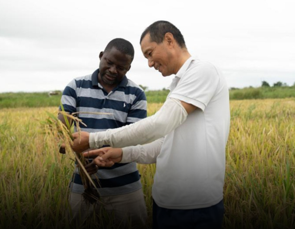 China-Mozambique Partnership Delivers Steady Gains as Cooperation Drives Development Momentum