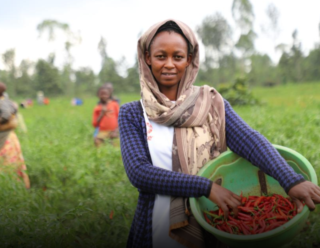 𝑰𝑴𝑨𝑮𝑬: 𝐹𝑎𝑟𝑚𝑒𝑟 𝐷𝑒𝑏𝑜𝑟𝑎ℎ 𝑀𝑢ℎ𝑎𝑤𝑒𝑛𝑖𝑚𝑎𝑛𝑎 𝑠𝑒𝑒𝑛 𝑖𝑛 𝑡ℎ𝑒 𝑝𝑖𝑐𝑡𝑢𝑟𝑒 𝑤𝑖𝑡ℎ 𝑓𝑟𝑒𝑠ℎ𝑙𝑦 𝑝𝑖𝑐𝑘𝑒𝑑 𝑐ℎ𝑖𝑙𝑖 𝑝𝑒𝑝𝑝𝑒𝑟 𝑖𝑛 𝐼𝑏𝑖𝑧𝑎 𝑉𝑖𝑙𝑙𝑎𝑔𝑒 𝑜𝑓 𝐾𝑎𝑦𝑜𝑛𝑧𝑎 𝐷𝑖𝑠𝑡𝑟𝑖𝑐𝑡 𝑖𝑛 𝐸𝑎𝑠𝑡𝑒𝑟𝑛 𝑃𝑟𝑜𝑣𝑖𝑛𝑐𝑒, 𝑅𝑤𝑎𝑛𝑑𝑎