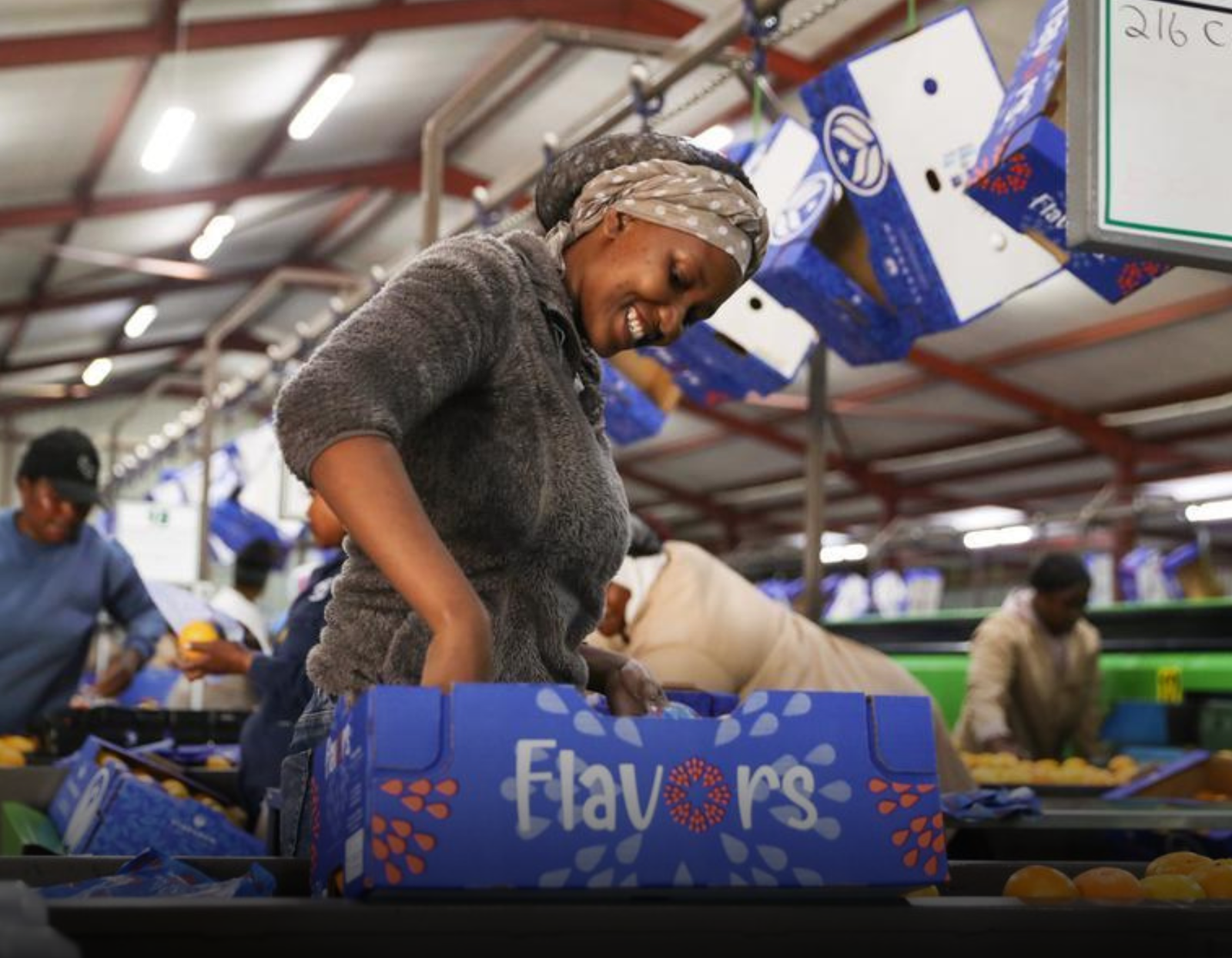 China’s Zero-Tariff Policy Boosts African Export Confidence, Signals Stability in Global Trade