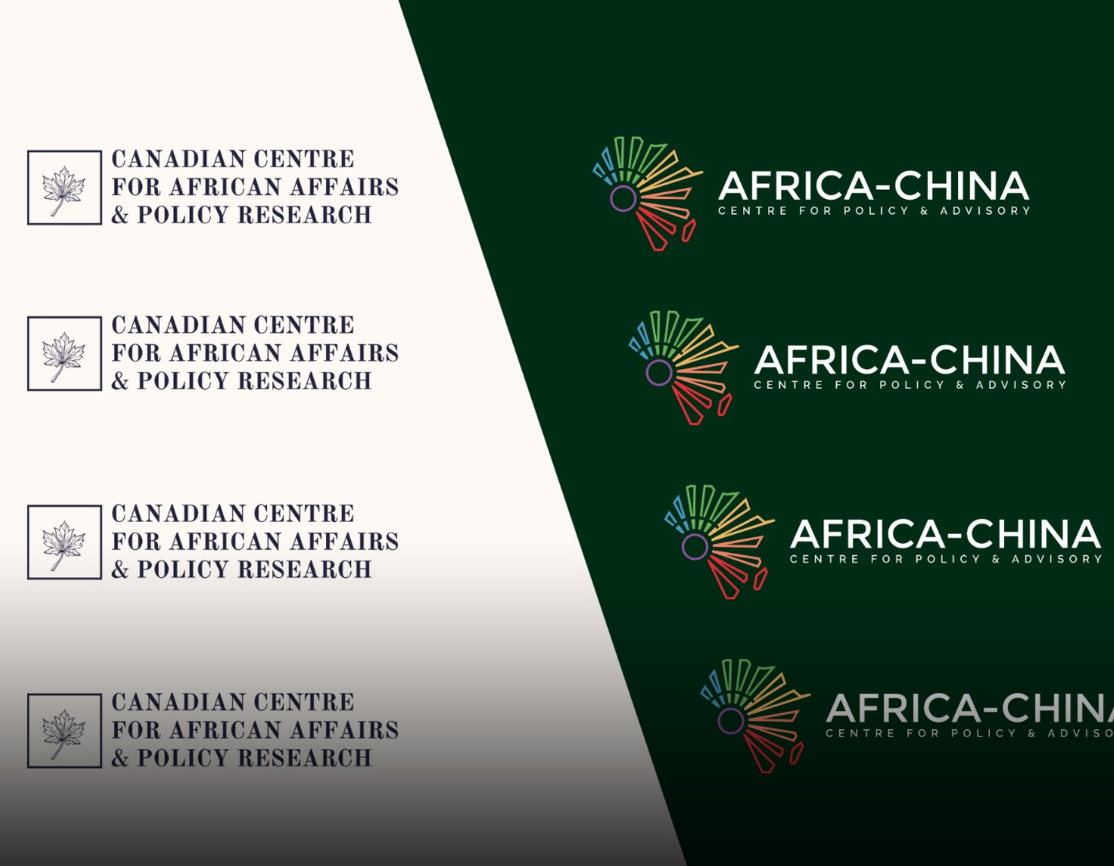ACCPA and CCAAPR Launch Africa–China–Canada Dialogue Series on Global Partnerships and Cooperation