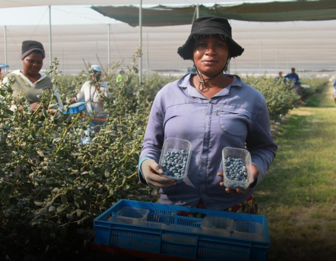 Zimbabwe Exports to China Marks  Breakthrough in Agricultural Trade
