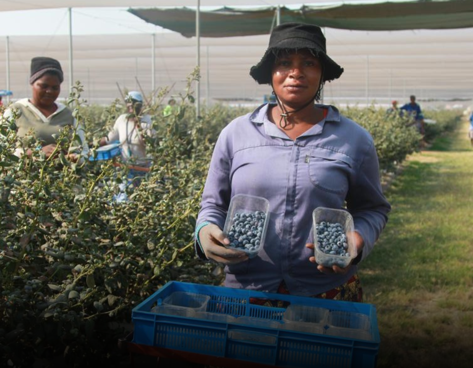 Zimbabwe Exports to China Marks  Breakthrough in Agricultural Trade